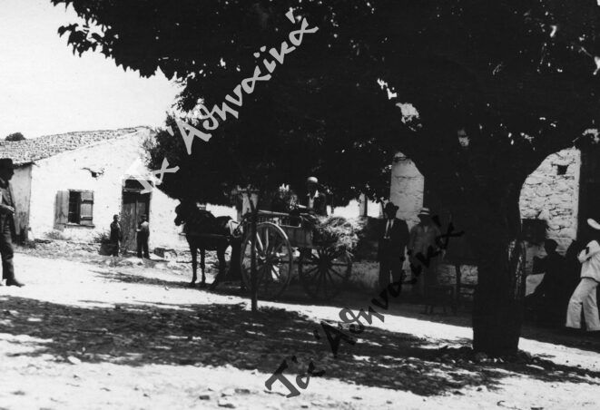 Όταν έκαιγαν το Καπανδρίτι για να πωλήσουν τα κούτσουρα ως καύσιμη ύλη στην αγορά!