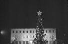 Το πρώτο Χριστουγεννιάτικο δέντρο σε πλατείες των Αθηνών και του Πειραιώς
