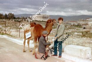 Πως βρέθηκε μια γκαμήλα με σαπούνι στους Αθηναϊκούς δρόμους τη δεκαετία ’50