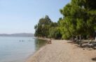 Όταν το Μεγάλο Πεύκο μετονομάστηκε σε Νέα Πέραμο